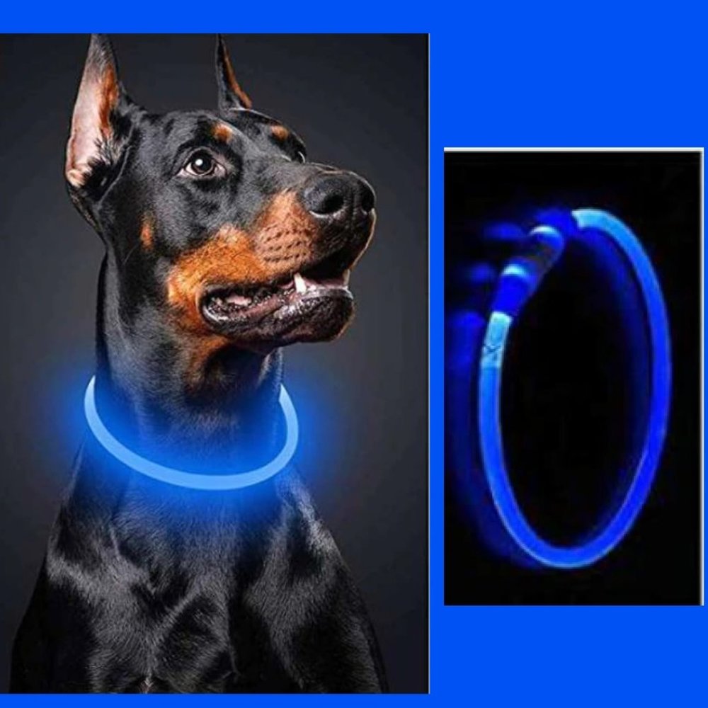 LED Safety Collar USB Charge No Battery Needed Ever